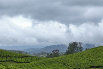 The Whispering Meadows Munnar