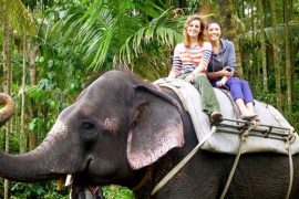 Thekkady Kumarakom Tour Packages