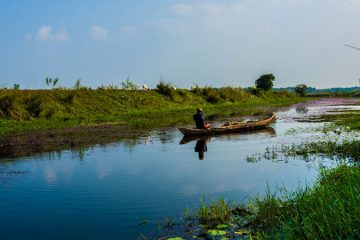 Paddy and Nest Tour in Kerala