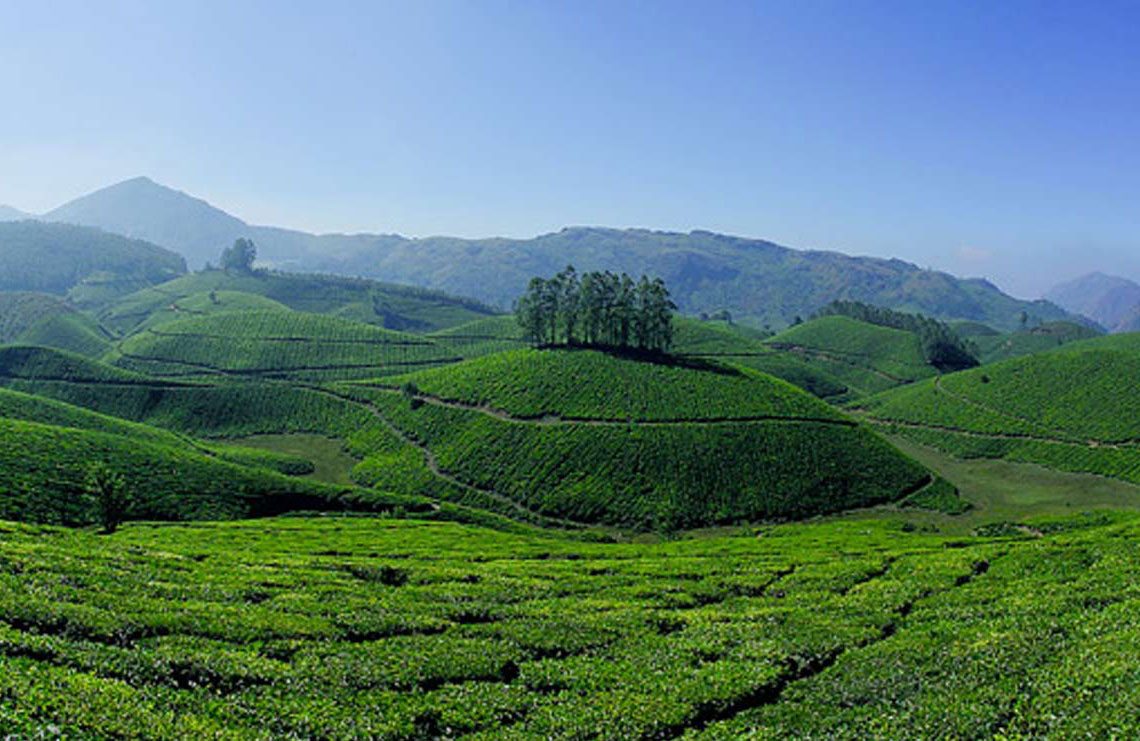 Kerala Hill Station Packages