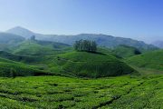 Kerala Hill Station Packages